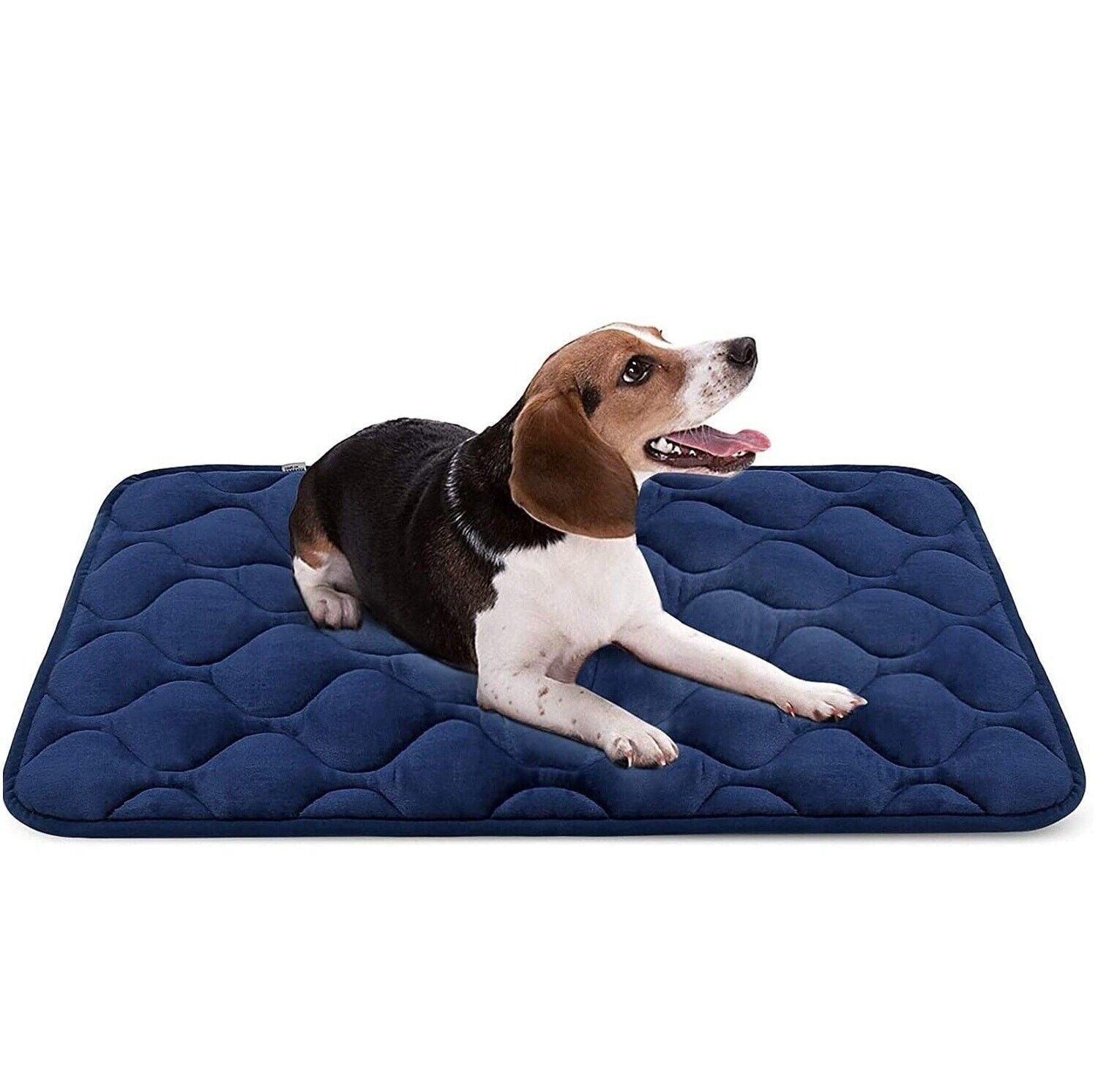 Washable Dog Bed Mat - Soft Velvet Crate Pad 1_f32d4c7b-0f65-4dde-81b8-6207304bdd15