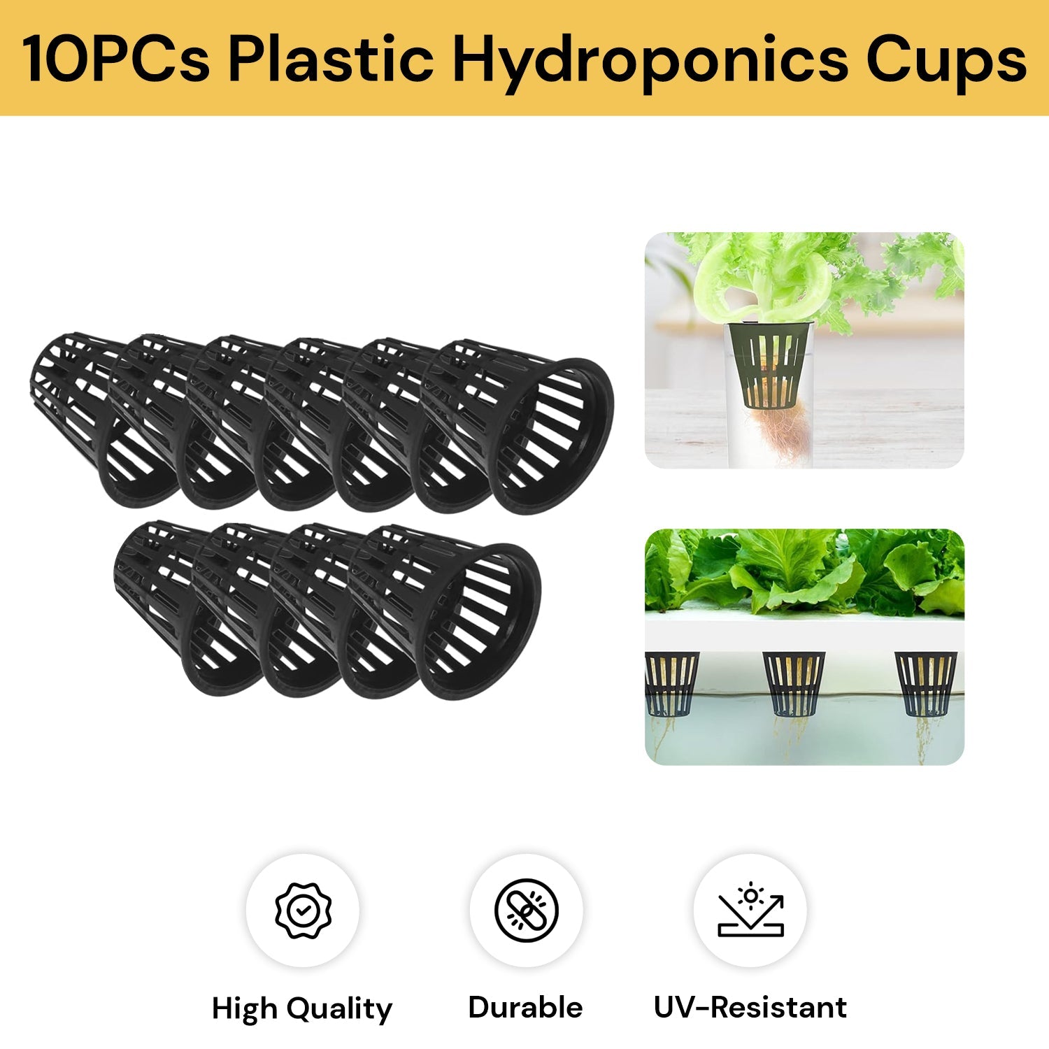 10PCs Plastic Hydroponics Cups