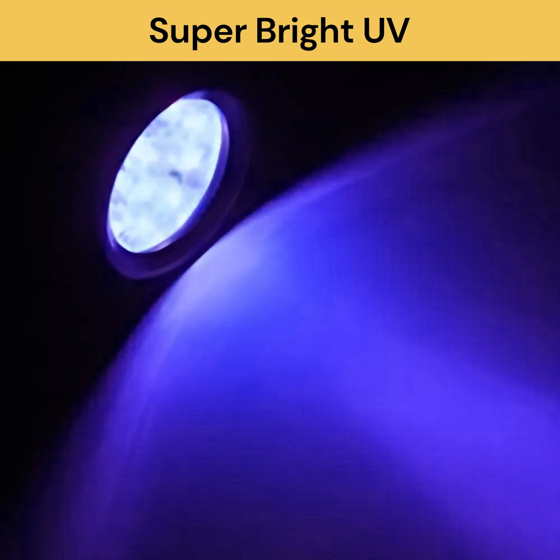 12LEDs UV Flashlight