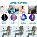 Memory Foam Lumbar Support Car Seat / Chair Pain Relief Cushion Prily