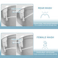 Multi Functional Ultra-Slim Dual Nozzle Bidet Prily