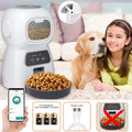 PetFeed Pro™ The Ultimate Smart Automatic Feeding Solution Prily