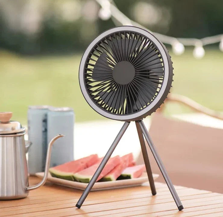 Rechargeable Powerful Desk Fan with Power Bank and LED Lighting Prily