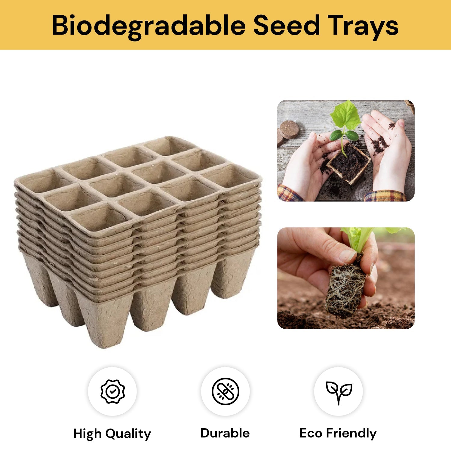 10PCs Biodegradable Seed Trays