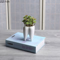 Tooth Vase Succulent Ceramic Pot Prily