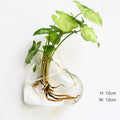 Wall Hanging Aquarium Pot Decoration Prily