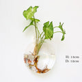 Wall Hanging Aquarium Pot Decoration Prily