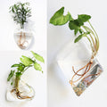 Wall Hanging Aquarium Pot Decoration Prily