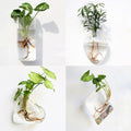 Wall Hanging Aquarium Pot Decoration Prily