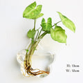 Wall Hanging Aquarium Pot Decoration Prily