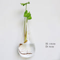 Wall Hanging Aquarium Pot Decoration Prily