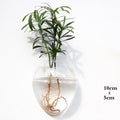 Wall Hanging Aquarium Pot Decoration Prily