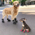 Waterproof Small Pet Anti-slip Rain Boots (4pcs) Prily