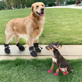 Waterproof Small Pet Anti-slip Rain Boots (4pcs) Prily