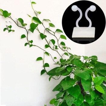 Vine Plant Climbing Stick-On Hook Set