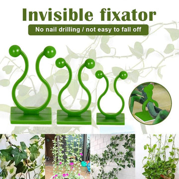 Vine Plant Climbing Stick-On Hook Set