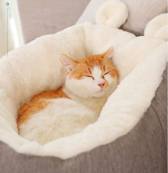 Warming Cat bed