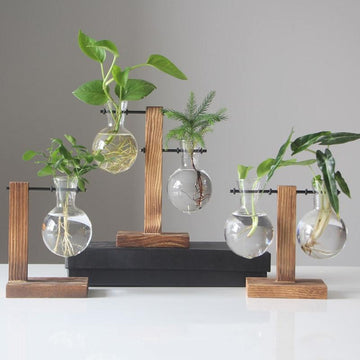 PlantDecor™ Hydroponic Transparent Plant Cocoons