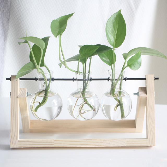 PlantDecor™ Hydroponic Transparent Plant Cocoons